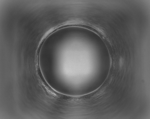 X0000052631366200507011309