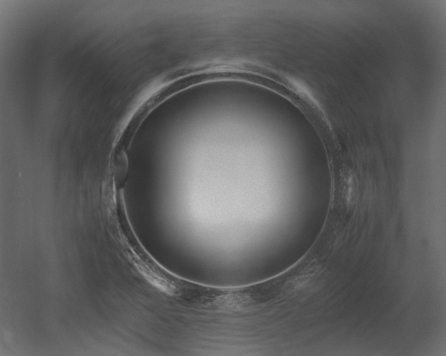 X0000052631368200507011309