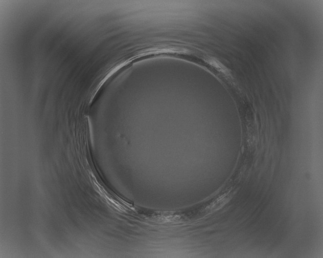 X0000052631369200507011309