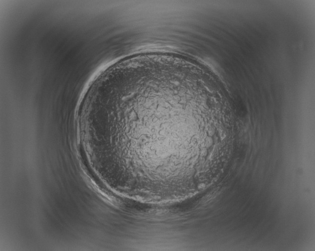 X0000052631371200507011309
