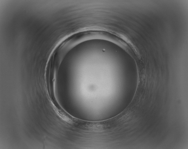 X0000052631372200507011309