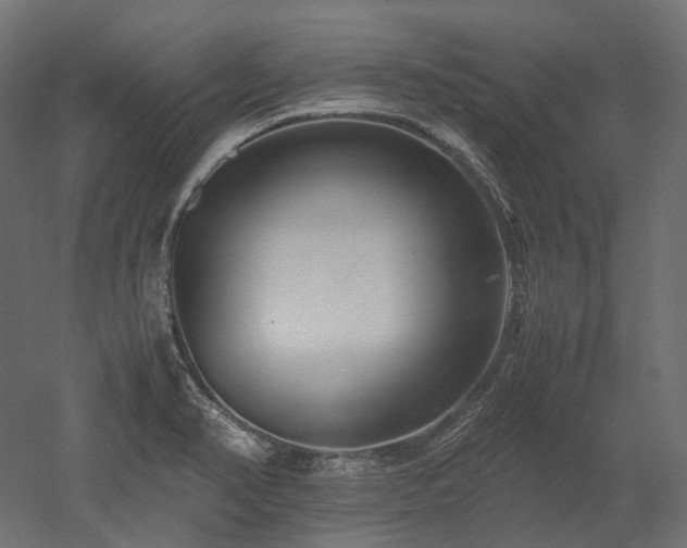 X0000052631374200507011309
