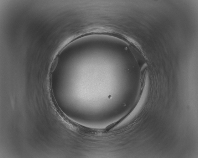X0000052631375200507011309