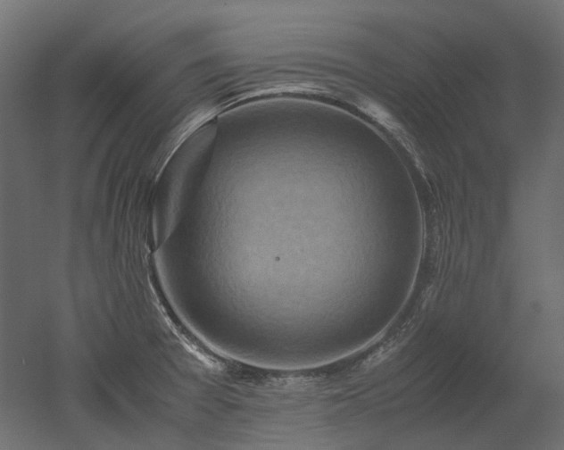 X0000052631377200507011309