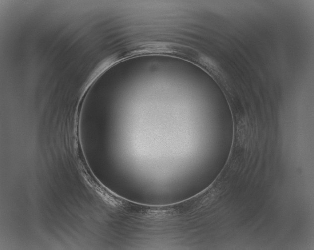 X0000052631378200507011309