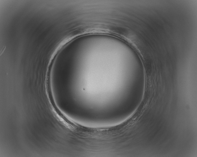 X0000052631379200507011309