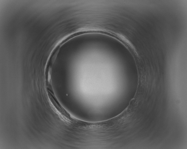 X0000052631380200507011308