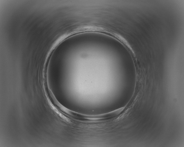 X0000052631381200507011308