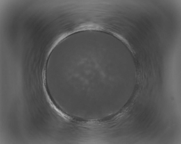 X0000052631383200507011308