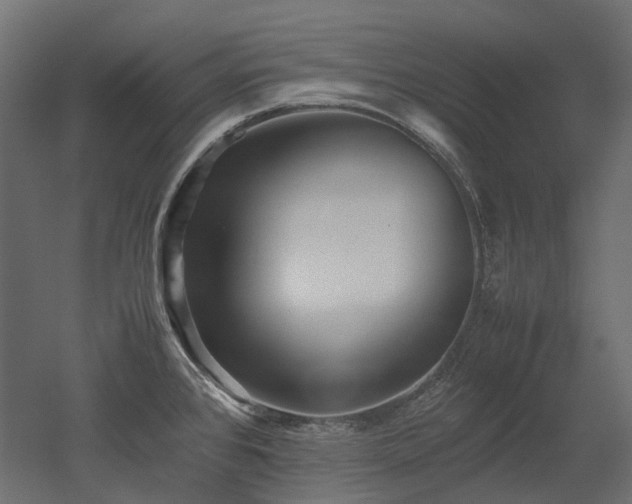 X0000052631384200507011308