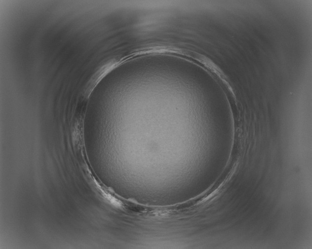 X0000052631385200507011308