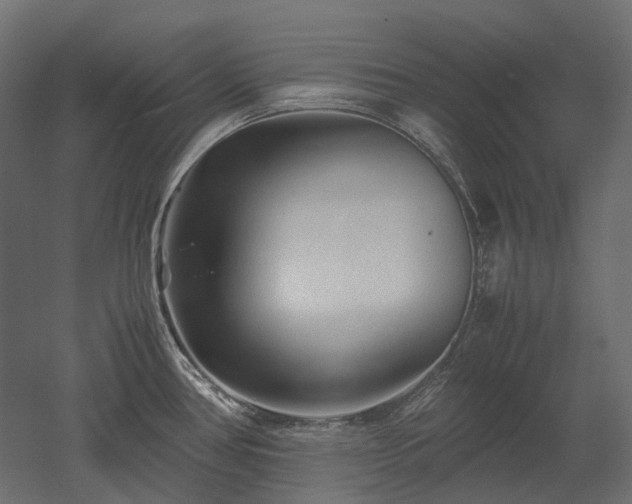 X0000052631386200507011308