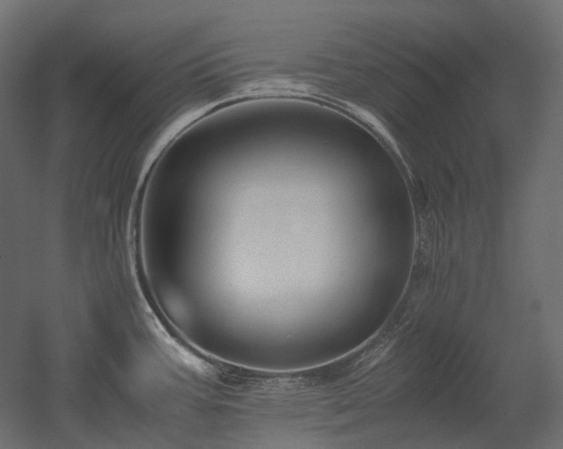 X0000052631387200507011308