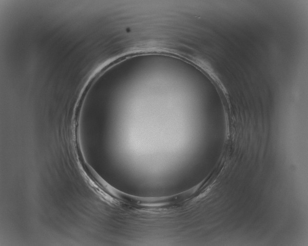 X0000052631388200507011308