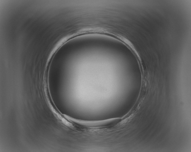 X0000052631389200507011308
