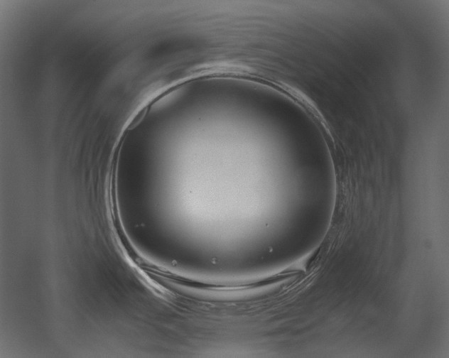 X0000052631391200507011308