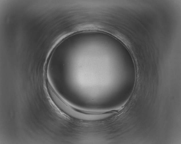X0000052631392200507011308