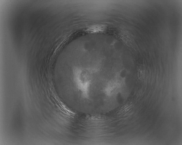 X0000052631393200507011307