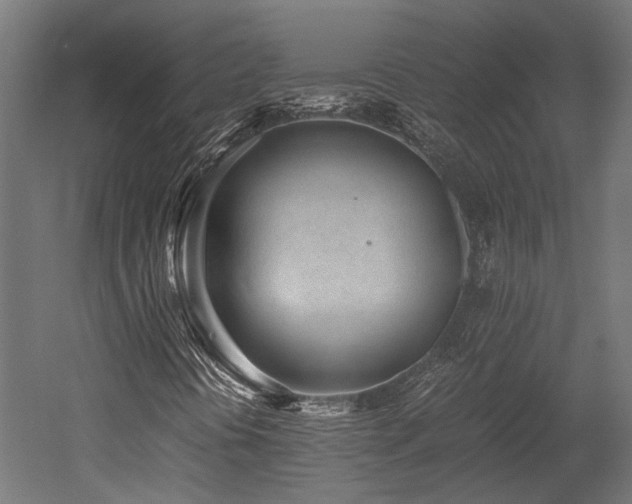 X0000052631394200507011307