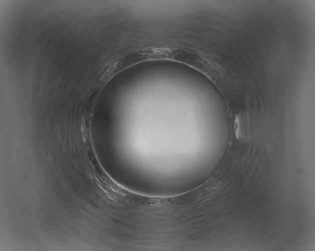 X0000052631395200507011307