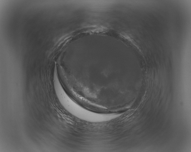 X0000052631399200507011308
