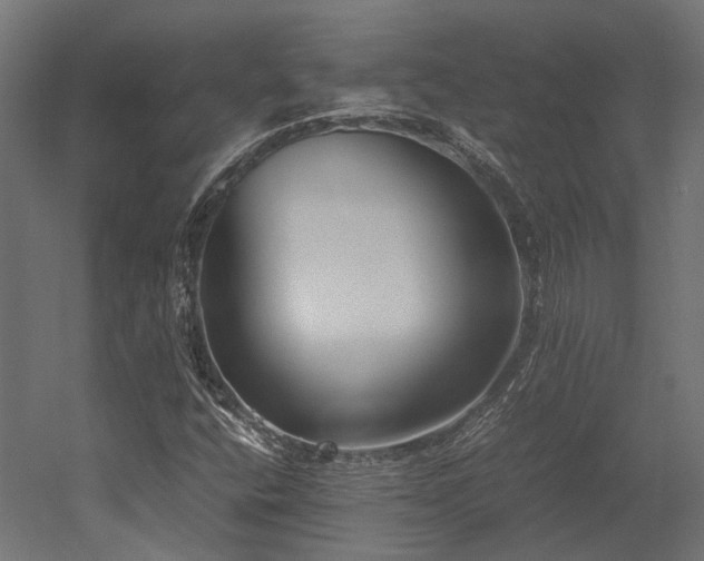 X0000052631400200507011308
