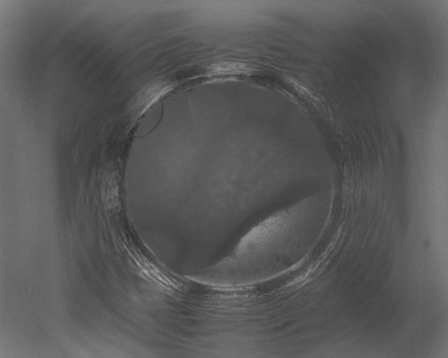 X0000052631401200507011308