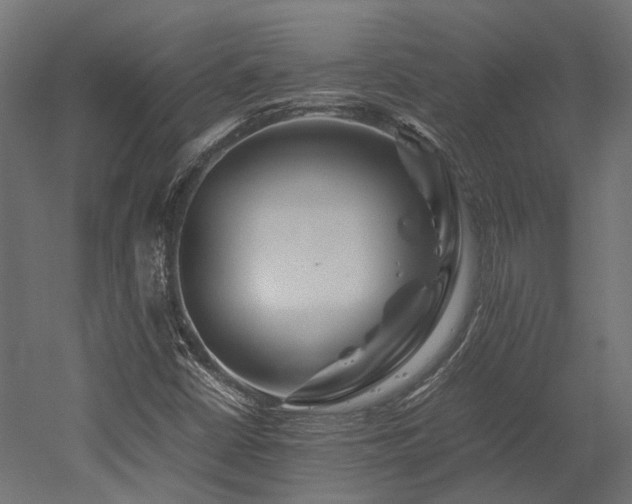 X0000052631402200507011308