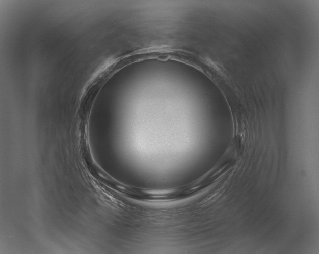 X0000052631406200507011308