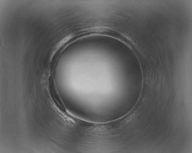 X0000052631410200507011308