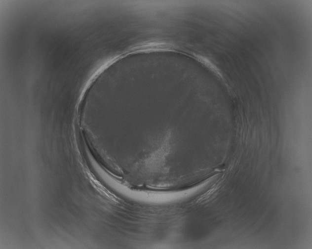 X0000052631413200507011308