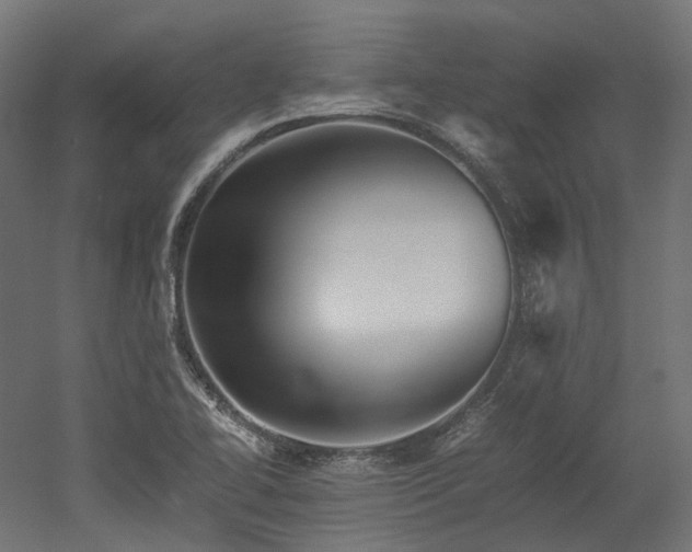 X0000052631414200507011308