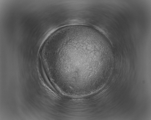 X0000052631415200507011308