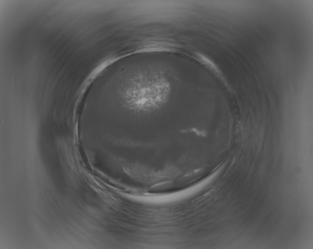 X0000052631419200507011308