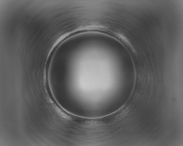 X0000052631420200507011308