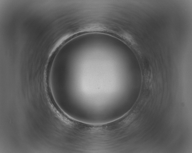 X0000052631422200507011308
