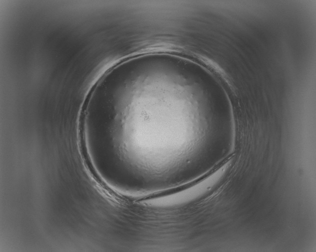 X0000052631423200507011308