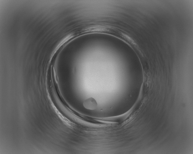 X0000052631426200507011308