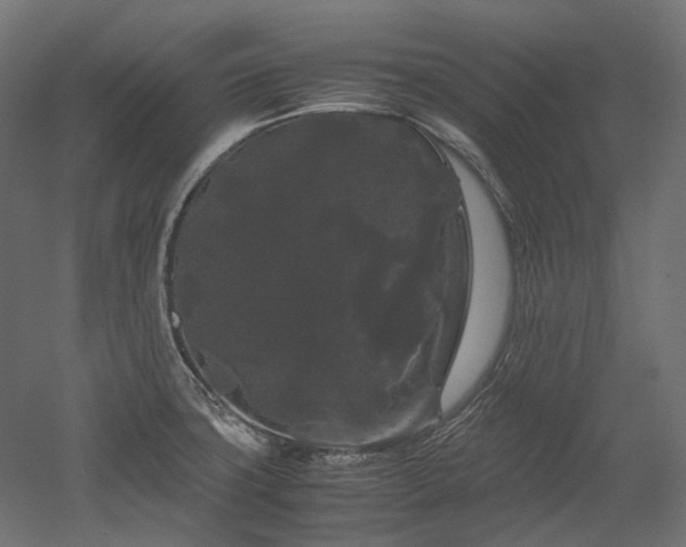 X0000052631427200507011308