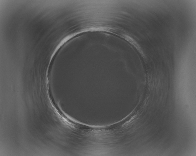 X0000052631428200507011308