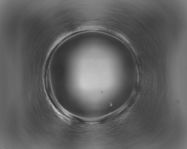 X0000052631430200507011308