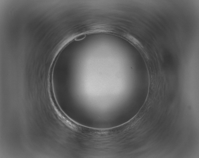 X0000052631431200507011308