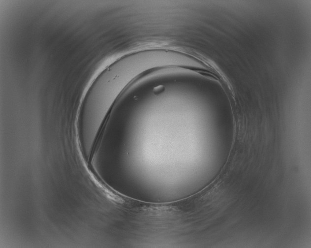 X0000052631432200507011308