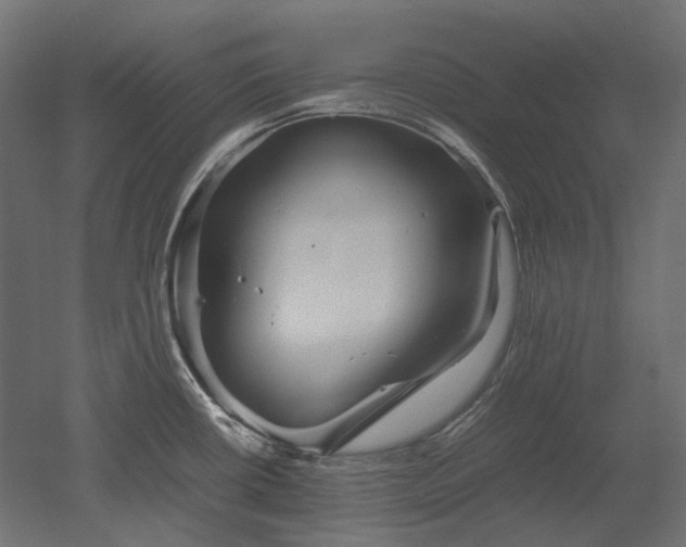 X0000052631434200507011308