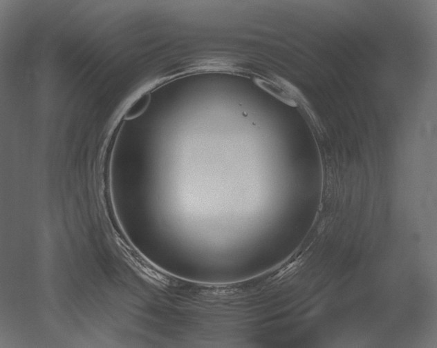X0000052631435200507011308