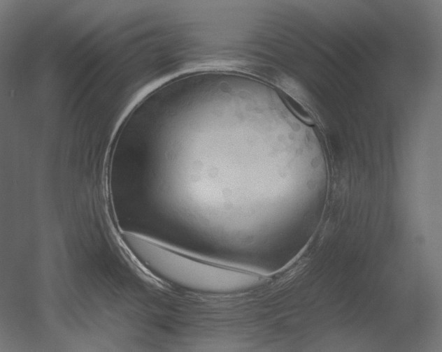 X0000052631436200507011308