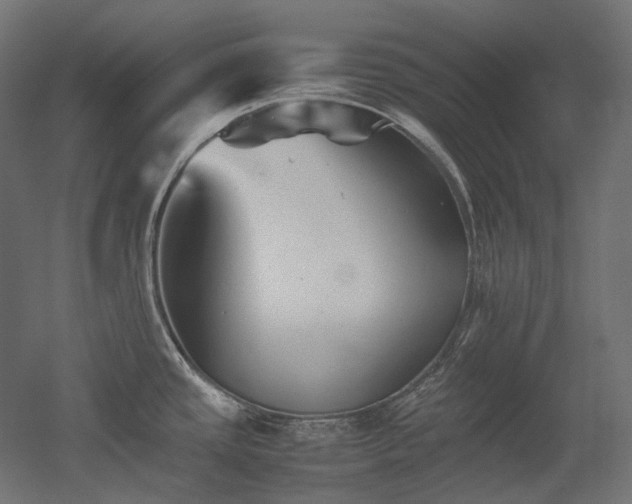 X0000052631437200507011308
