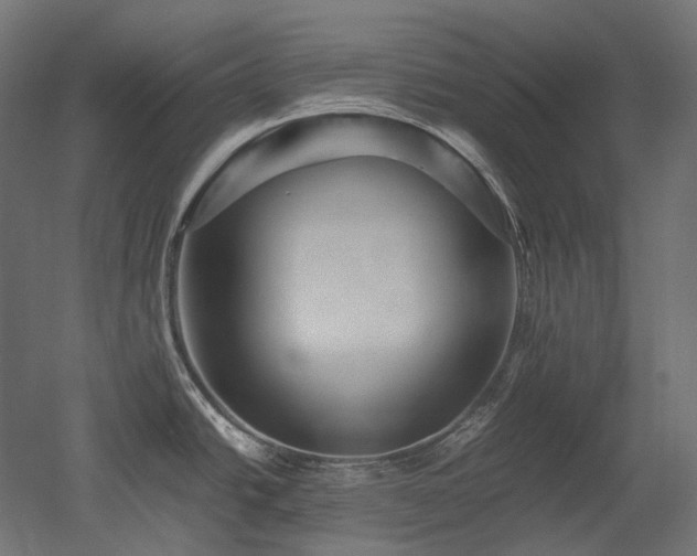 X0000052631438200507011308