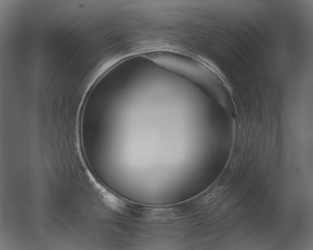 X0000052631439200507011308