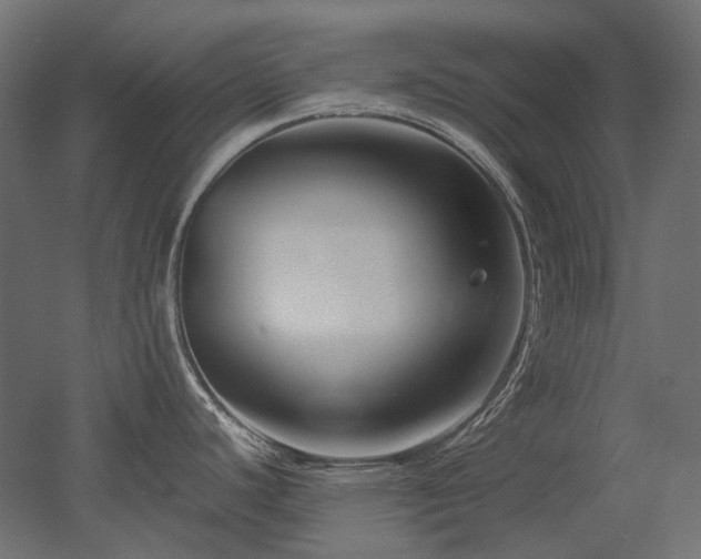 X0000052631440200507011308